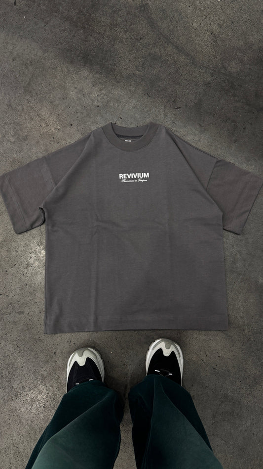 Camiseta Boxy Fit Revivium Project - Gris
