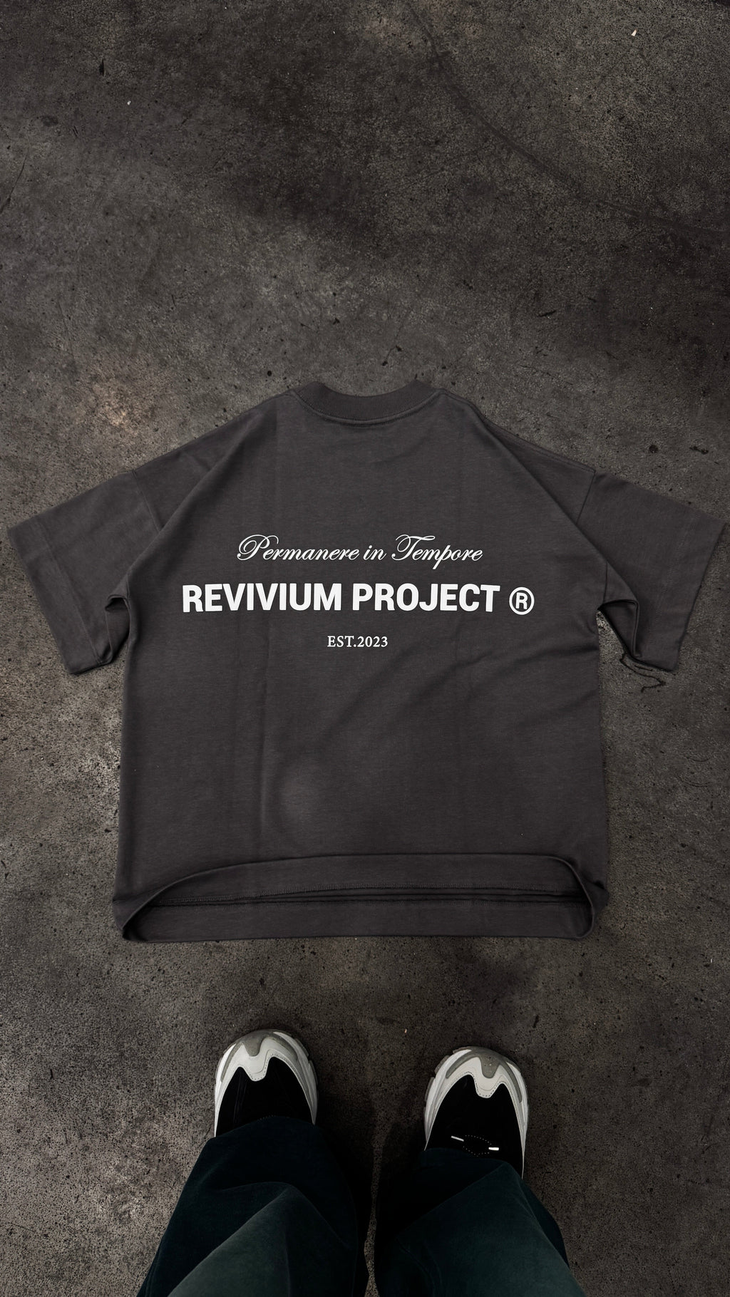 Camiseta Boxy Fit Revivium Project - Gris